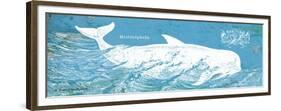 Caribbean Whale I-Gwendolyn Babbitt-Framed Premium Giclee Print