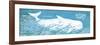 Caribbean Whale I-Gwendolyn Babbitt-Framed Premium Giclee Print