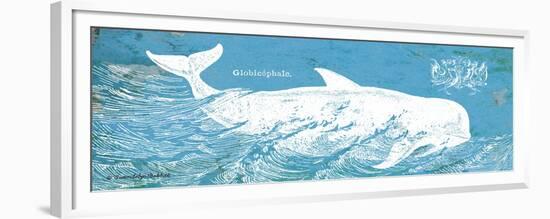 Caribbean Whale I-Gwendolyn Babbitt-Framed Premium Giclee Print