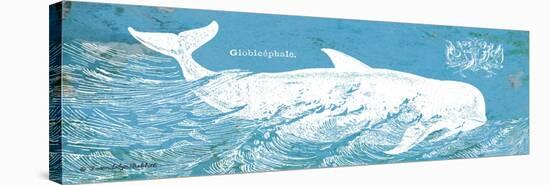 Caribbean Whale I-Gwendolyn Babbitt-Stretched Canvas