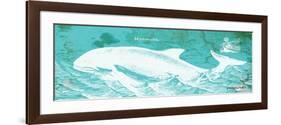 Caribbean Whale II-Gwendolyn Babbitt-Framed Art Print