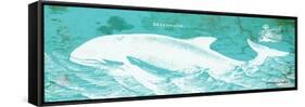 Caribbean Whale II-Gwendolyn Babbitt-Framed Stretched Canvas