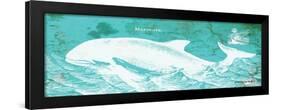 Caribbean Whale II-Gwendolyn Babbitt-Framed Art Print