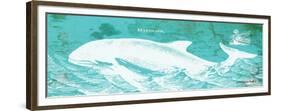 Caribbean Whale II-Gwendolyn Babbitt-Framed Premium Giclee Print