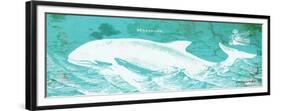 Caribbean Whale II-Gwendolyn Babbitt-Framed Premium Giclee Print