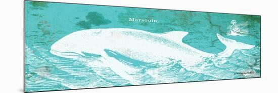 Caribbean Whale II-Gwendolyn Babbitt-Mounted Premium Giclee Print