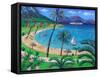 Caribbean-Sara Hayward-Framed Stretched Canvas