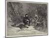 Cariboo Hunting in Canada-null-Mounted Giclee Print