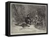 Cariboo Hunting in Canada-null-Framed Stretched Canvas