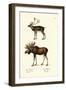 Caribou, 1824-Karl Joseph Brodtmann-Framed Giclee Print