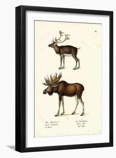 Caribou, 1824-Karl Joseph Brodtmann-Framed Giclee Print