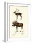 Caribou, 1824-Karl Joseph Brodtmann-Framed Giclee Print