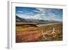 Caribou antlers in front of Mt. McKinley, Denali NP, Alaska, USA-Jerry Ginsberg-Framed Photographic Print