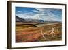 Caribou antlers in front of Mt. McKinley, Denali NP, Alaska, USA-Jerry Ginsberg-Framed Photographic Print