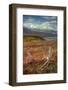 Caribou antlers in front of Mt. McKinley, Denali NP, Alaska, USA-Jerry Ginsberg-Framed Photographic Print