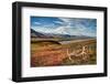 Caribou antlers in front of Mt. McKinley, Denali NP, Alaska, USA-Jerry Ginsberg-Framed Photographic Print