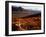 Caribou Antlers on the Tundra in Denali National Park, Denali National Park & Reserve, USA-Mark Newman-Framed Premium Photographic Print