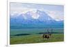 Caribou Below Mckinley-Paul Souders-Framed Photographic Print