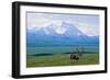 Caribou Below Mckinley-Paul Souders-Framed Photographic Print