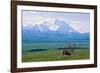 Caribou Below Mckinley-Paul Souders-Framed Photographic Print