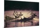 Wood Mount