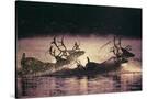 Stretched Canvas
