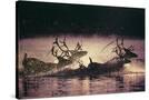 Stretched Canvas