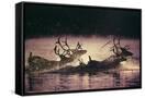 Canvas Black