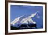 Caribou Grazing Near Wonder Lake Below Mt. Mckinley-null-Framed Photographic Print