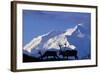 Caribou Grazing Near Wonder Lake Below Mt. Mckinley-null-Framed Photographic Print