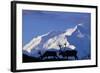 Caribou Grazing Near Wonder Lake Below Mt. Mckinley-null-Framed Photographic Print