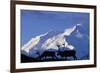 Caribou Grazing Near Wonder Lake Below Mt. Mckinley-null-Framed Photographic Print