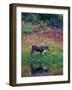 Caribou in Denali National Park, Alaska Range, Alaska, USA-Art Wolfe-Framed Photographic Print