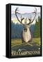 Caribou in the Wild, West Yellowstone, Montana-Lantern Press-Framed Stretched Canvas