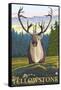 Caribou in the Wild, West Yellowstone, Montana-Lantern Press-Framed Stretched Canvas