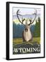 Caribou in the Wild, Wyoming-Lantern Press-Framed Art Print