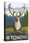 Caribou in the Wild, Wyoming-Lantern Press-Stretched Canvas