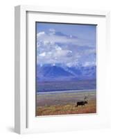 Caribou on Tundra Below Mt. McKinley-Paul Souders-Framed Photographic Print