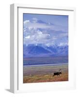 Caribou on Tundra Below Mt. McKinley-Paul Souders-Framed Photographic Print