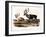 Caribou (Rangifer Caribou)-John Woodhouse Audubon-Framed Giclee Print