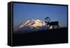 Caribou Wildlife, Mt McKinley, Denali National Park and Preserve, Alaska, USA-Hugh Rose-Framed Stretched Canvas