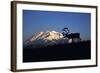 Caribou Wildlife, Mt McKinley, Denali National Park and Preserve, Alaska, USA-Hugh Rose-Framed Photographic Print