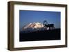 Caribou Wildlife, Mt McKinley, Denali National Park and Preserve, Alaska, USA-Hugh Rose-Framed Photographic Print