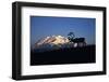 Caribou Wildlife, Mt McKinley, Denali National Park and Preserve, Alaska, USA-Hugh Rose-Framed Photographic Print