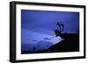 Caribou-Paul Souders-Framed Photographic Print