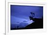 Caribou-Paul Souders-Framed Photographic Print