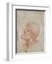 Caricature Head Study of an Old Man, circa 1500-05-Leonardo da Vinci-Framed Giclee Print