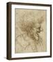 Caricature of a Man with Bushy Hair-Leonardo Da Vinci-Framed Art Print