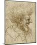 Caricature of a Man with Bushy Hair-Leonardo Da Vinci-Mounted Art Print