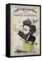 Caricature of Camille Flammarion-Stefano Bianchetti-Framed Stretched Canvas